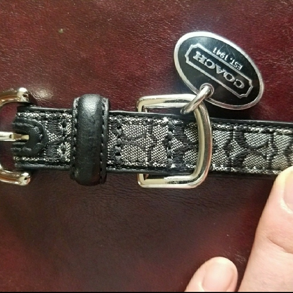 Coach dog collar
